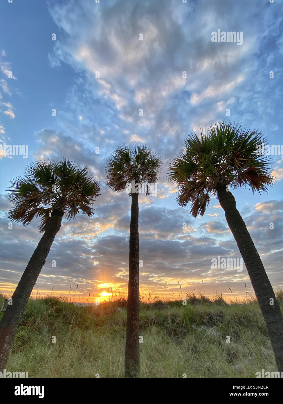 Coucher de soleil à Pass-a-grille, Floride Banque D'Images