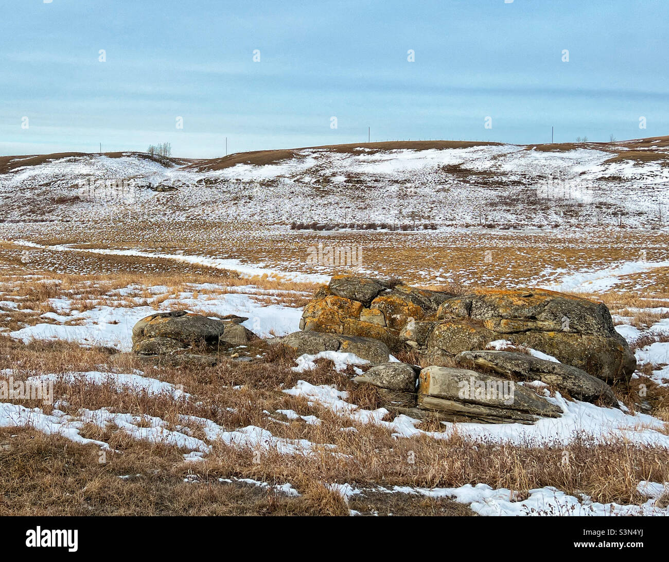 Paysage hivernal dans les contreforts, avec roche glaciaire erratique.Près de Calgary, Alberta, Canada. Banque D'Images