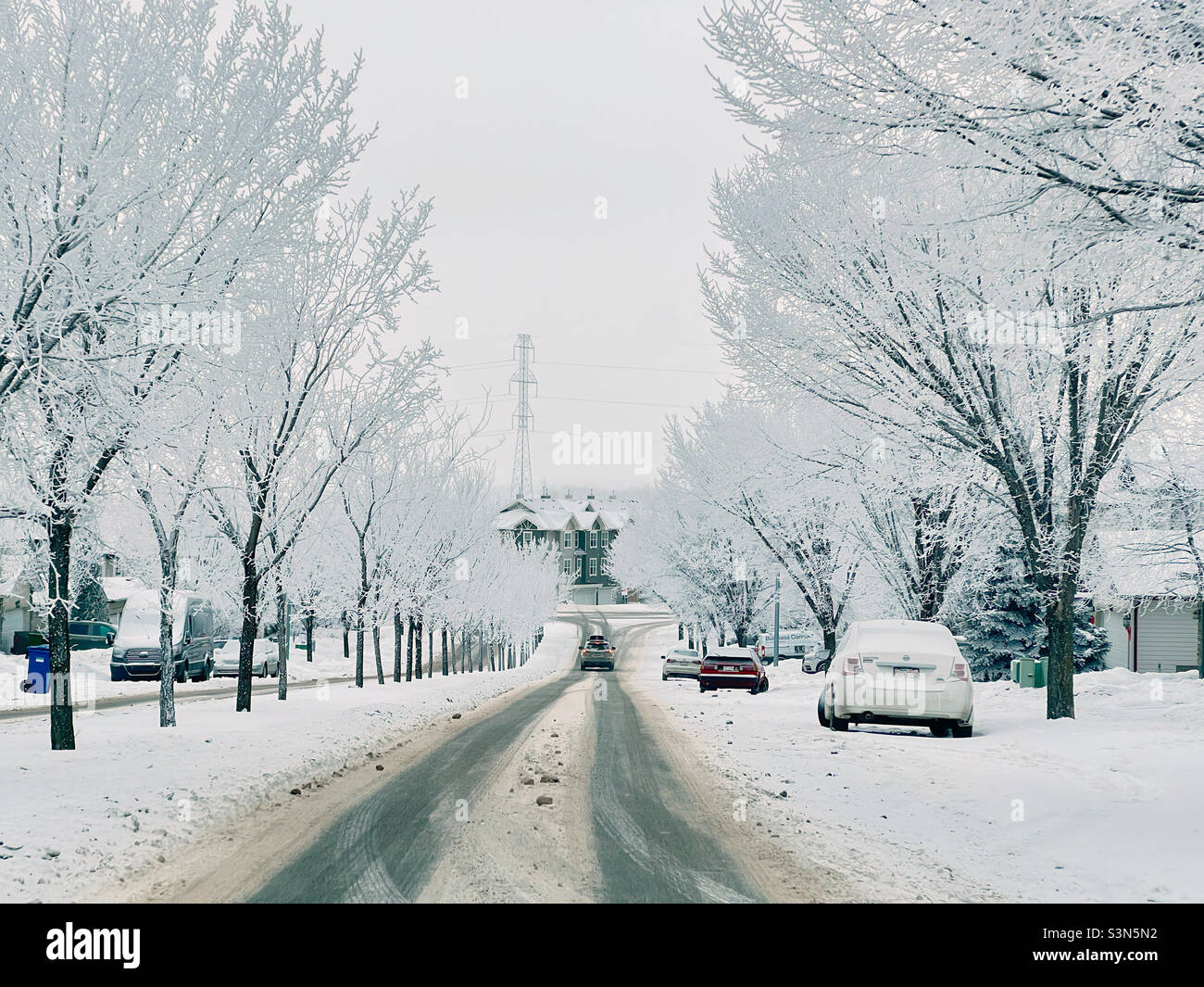 Route de banlieue enneigée après une forte chute de neige et un épais gel.Hiver à Calgary, Alberta, Canada. Banque D'Images