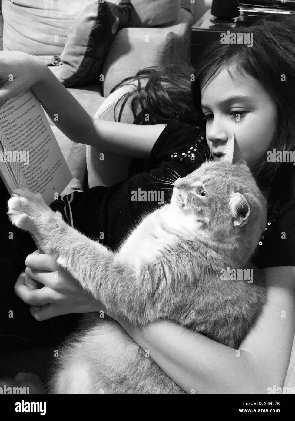Petite fille et chat lisant un livre ensemble, en cuddling, noir et blanc Banque D'Images