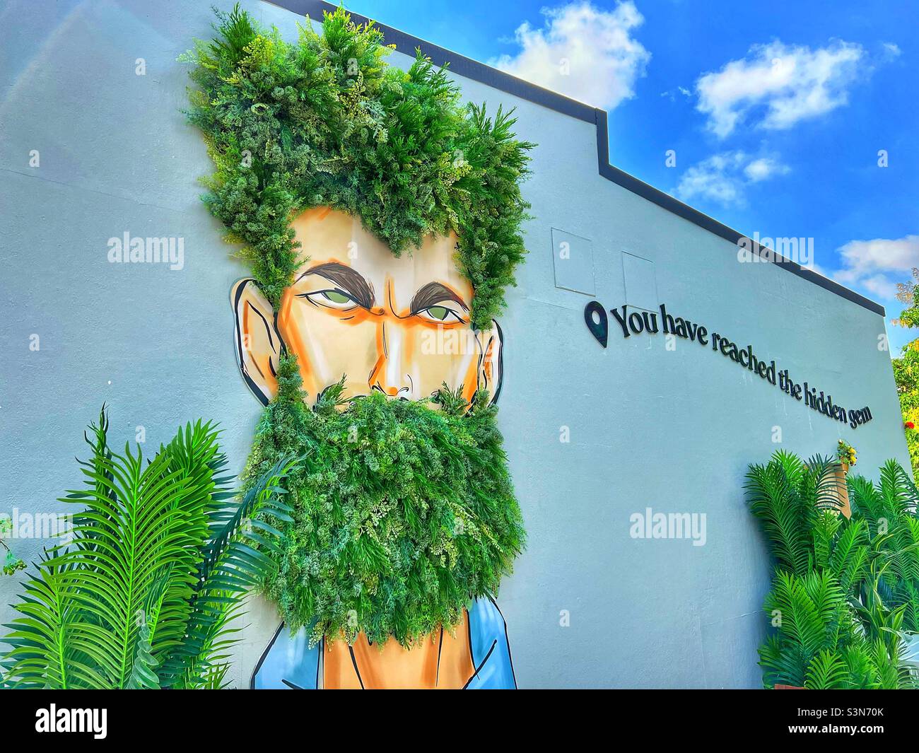 Art mural d'un homme dans un café à Dubaï Expo2020 eau utilisant des feuilles vertes pour les cheveux et la barbe - Image de stock capturée avec un smartphone