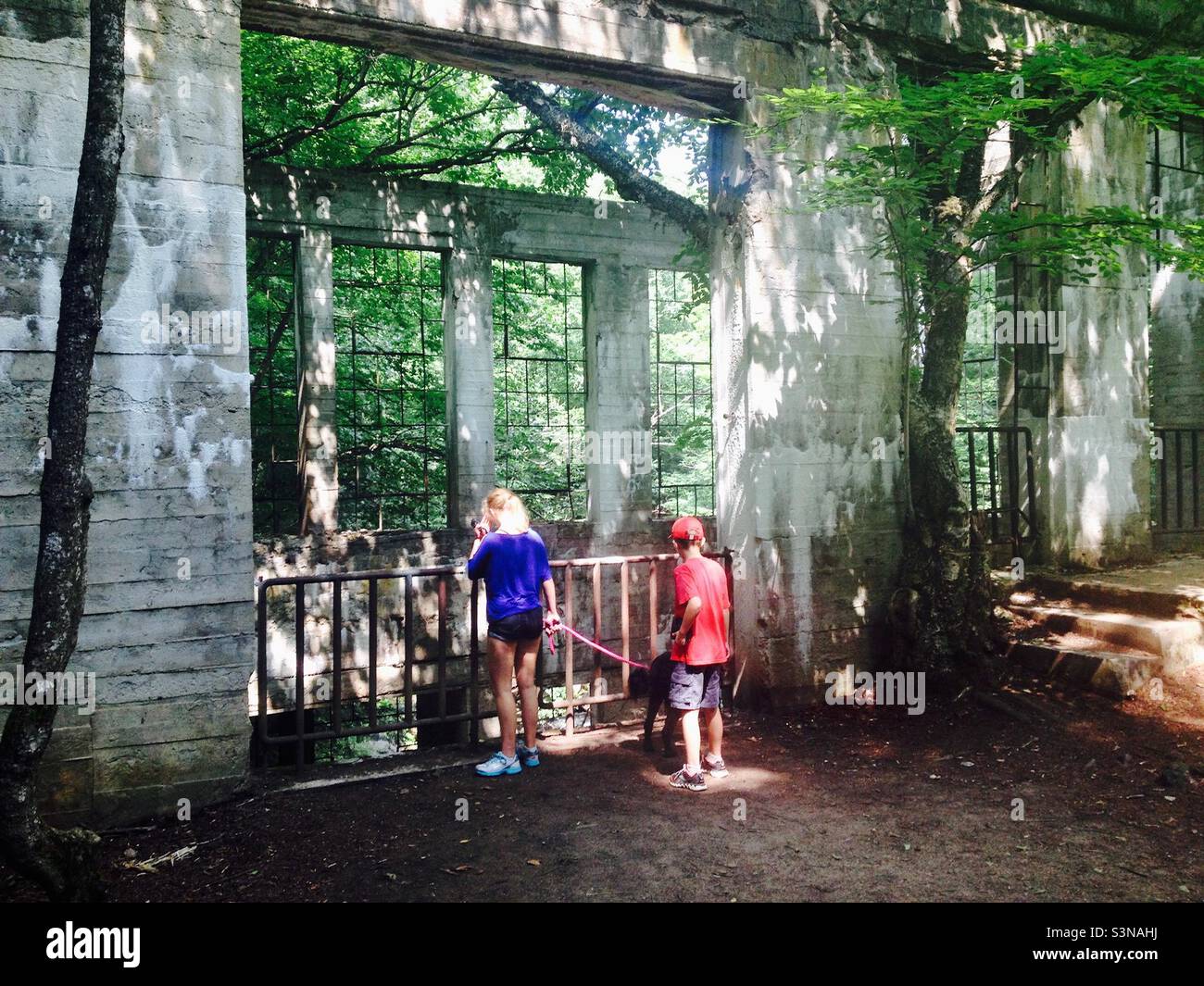 Une belle randonnée en famille jusqu'aux ruines de Carbide Willson dans le parc de la Gatineau. Banque D'Images