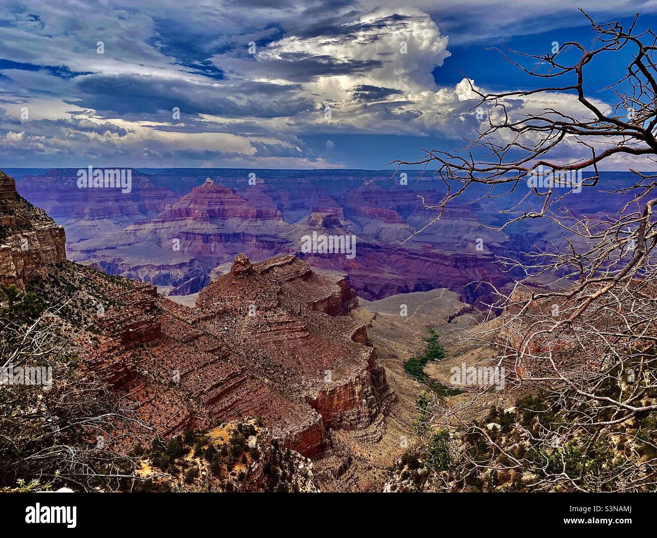Grand Canyon, Arizona, États-Unis. L'une des 7 merveilles naturelles du monde montrant les belles couleurs du canyon, la flore naturelle, les arbres et la vie végétale sous un ciel bleu avec des nuages blancs et le soleil Banque D'Images