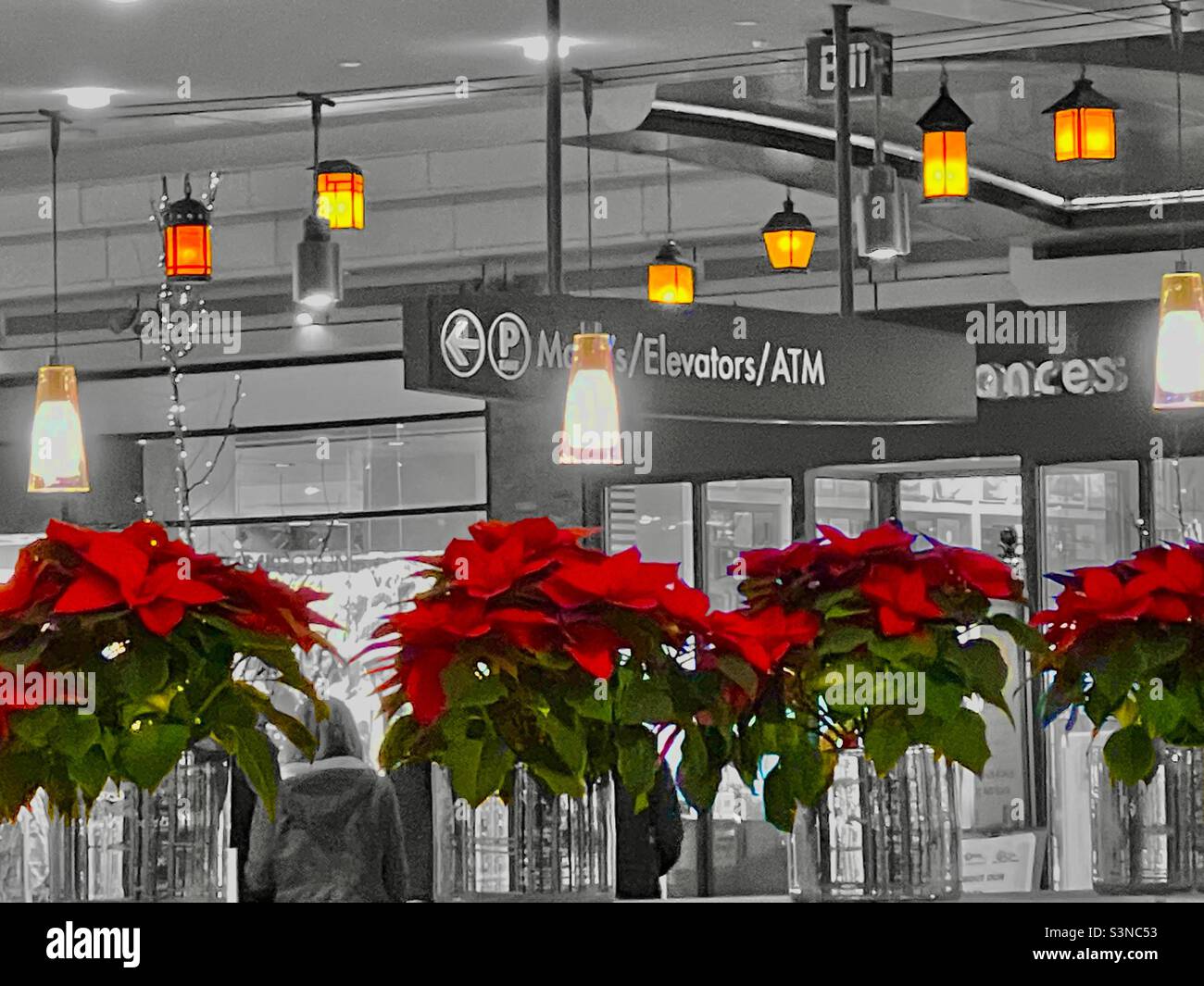 À l'intérieur du centre commercial City Creek à Salt Lake City, Utah, États-Unis pendant la saison de Noël. L'image est en noir et blanc, à l'exception de la couleur sélectionnée sur les poinsettias et les lanternes/lumières. - Image de stock capturée avec un smartphone