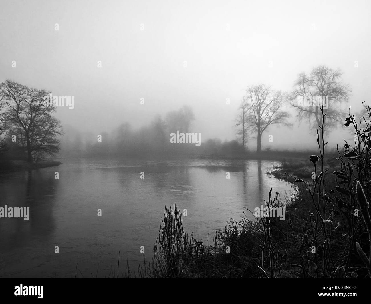 Lac d'hiver foggy Banque D'Images