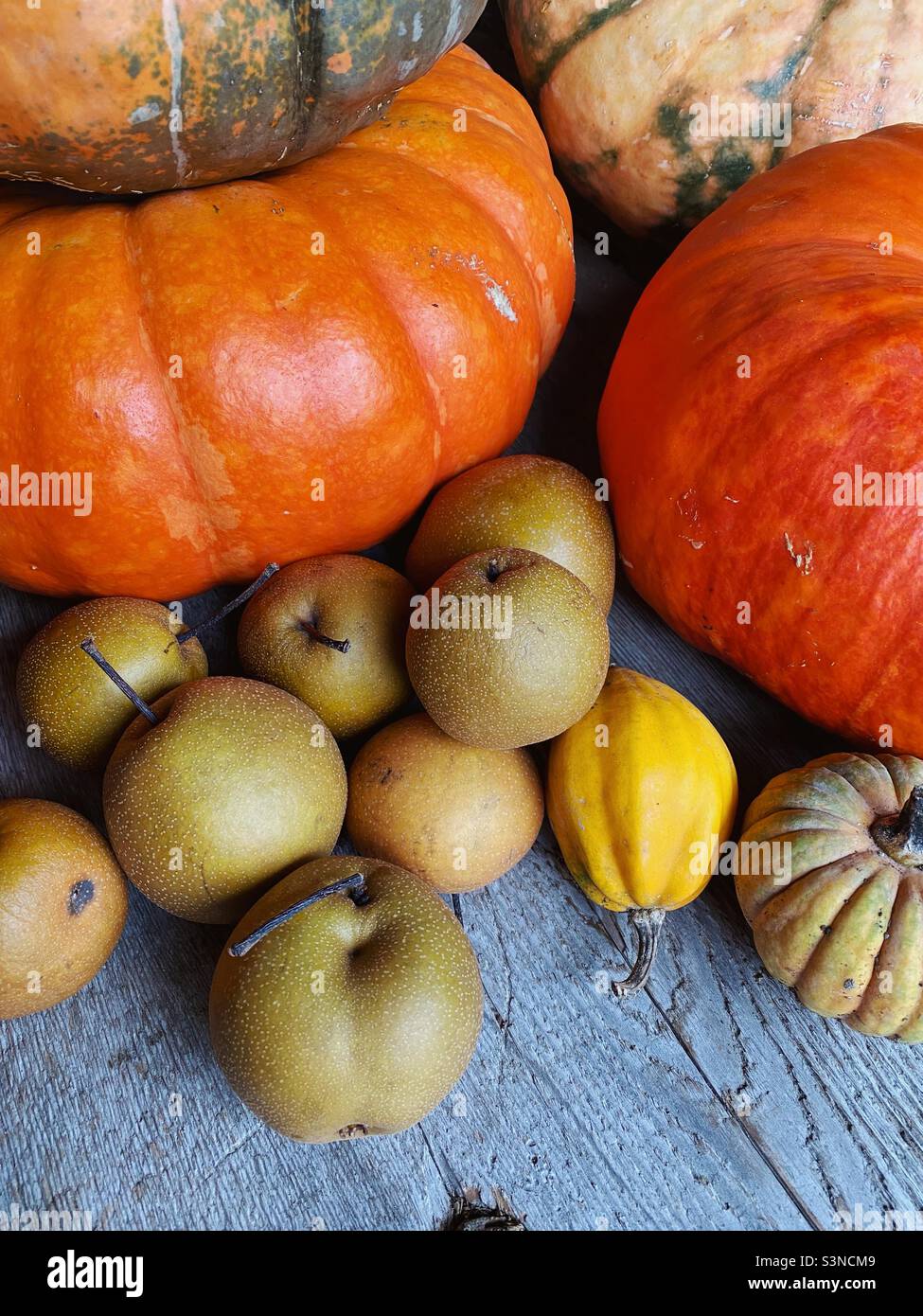 Citrouilles d'automne, pommes et courges sur table Banque D'Images