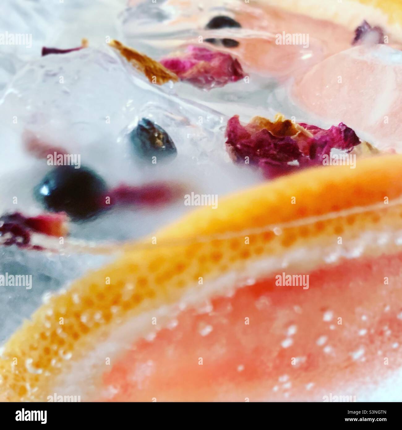 Gin et tonic Banque D'Images