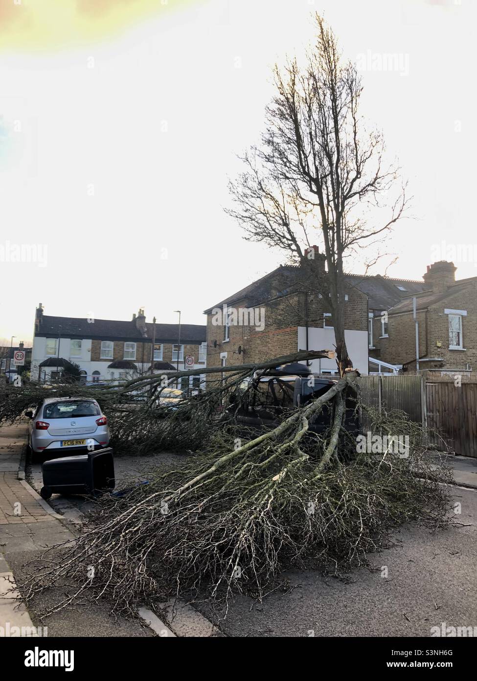 Un arbre tombé dans une rue du nord de Londres pendant une tempête Banque D'Images