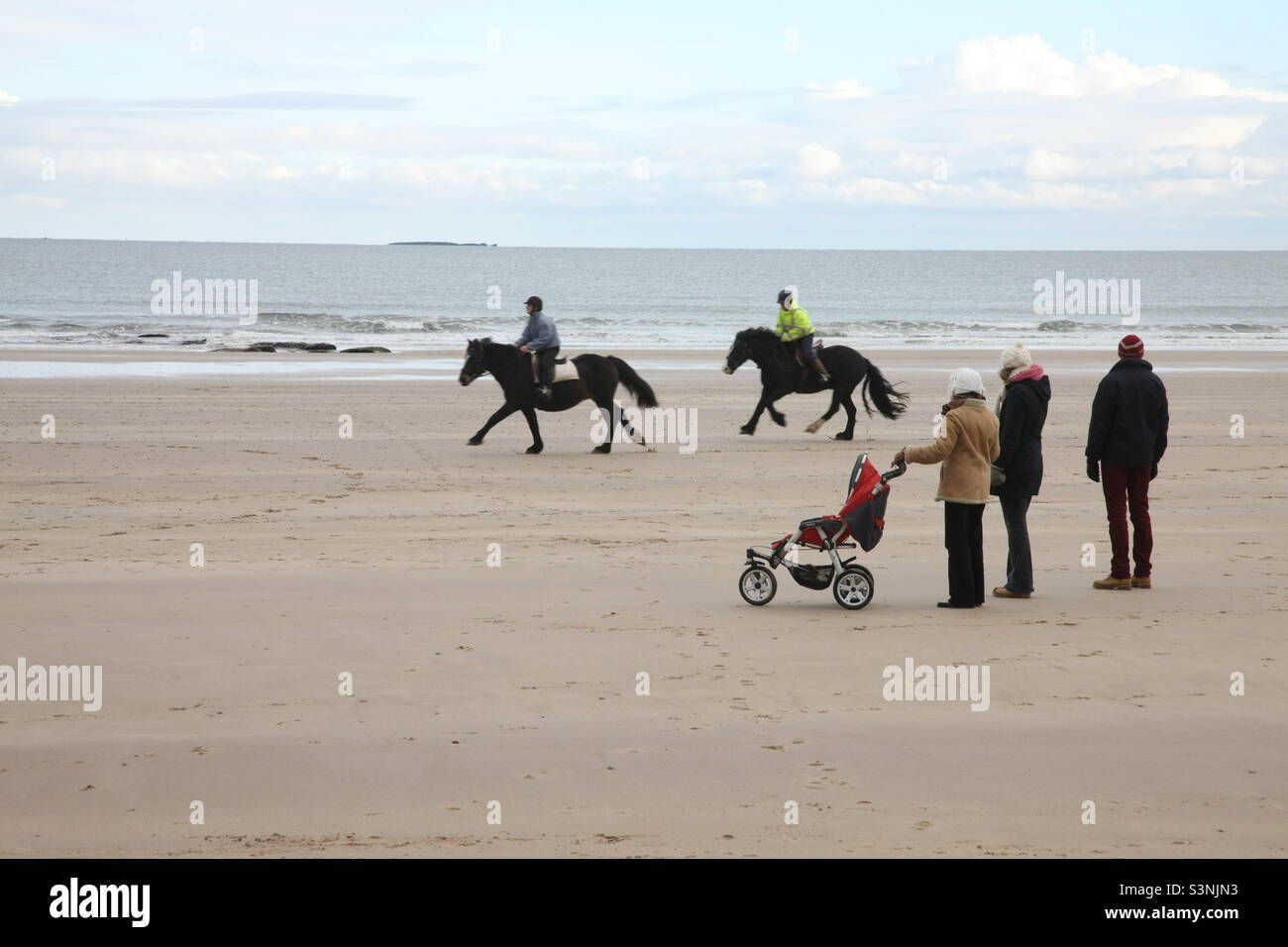 Arrêt en famille pour observer des chevaux galopant sur la plage de Seahouses. Banque D'Images