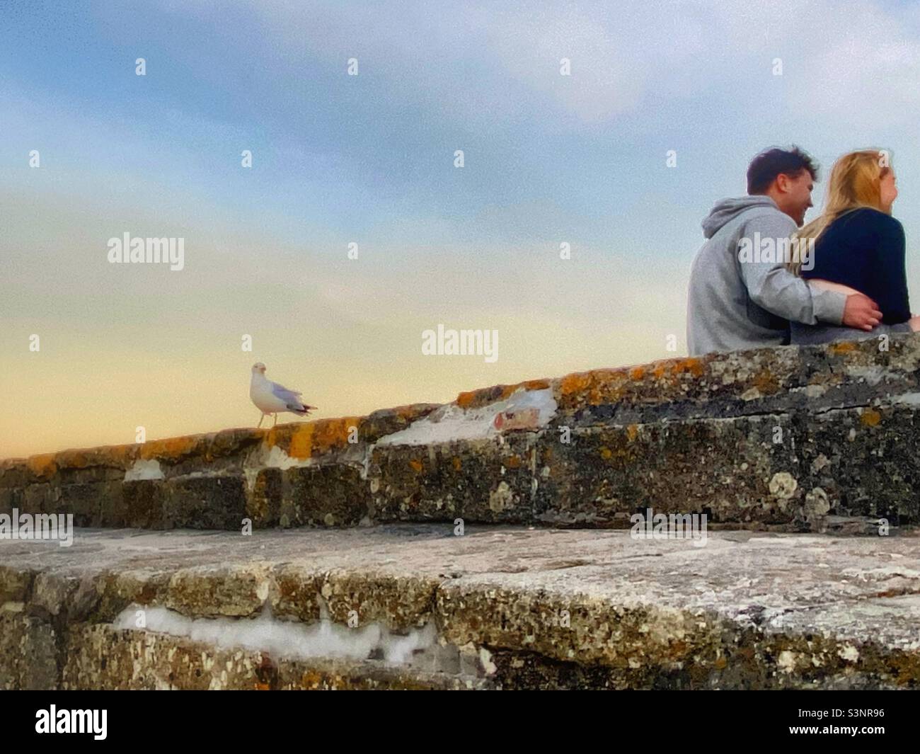 Un couple assis sur un quai au coucher du soleil pendant qu'un mouette semble les regarder - Image de stock capturée avec un smartphone