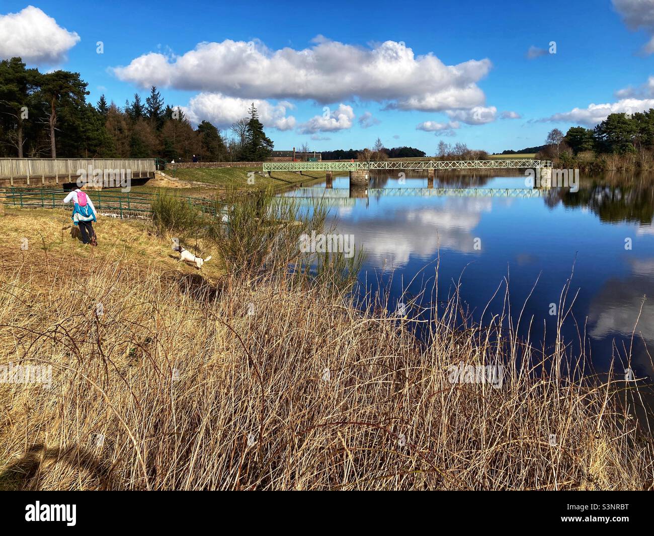 Harlaw Reservoir, parc régional de Pentland Hills, Édimbourg Banque D'Images