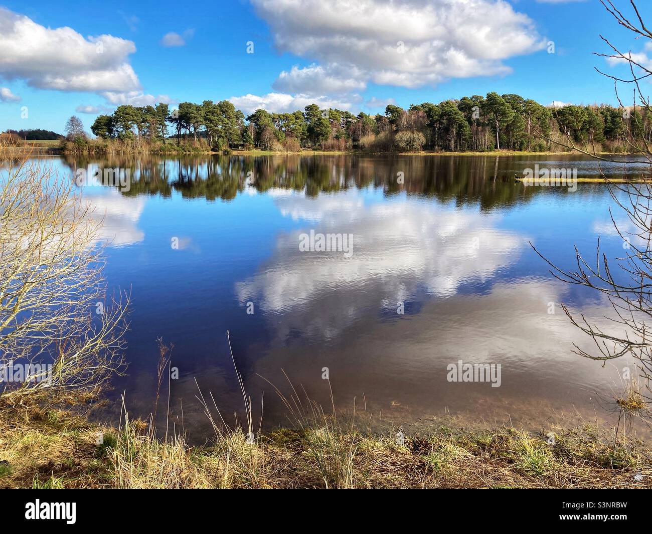 Harlaw Reservoir, parc régional de Pentland Hills, Édimbourg Banque D'Images