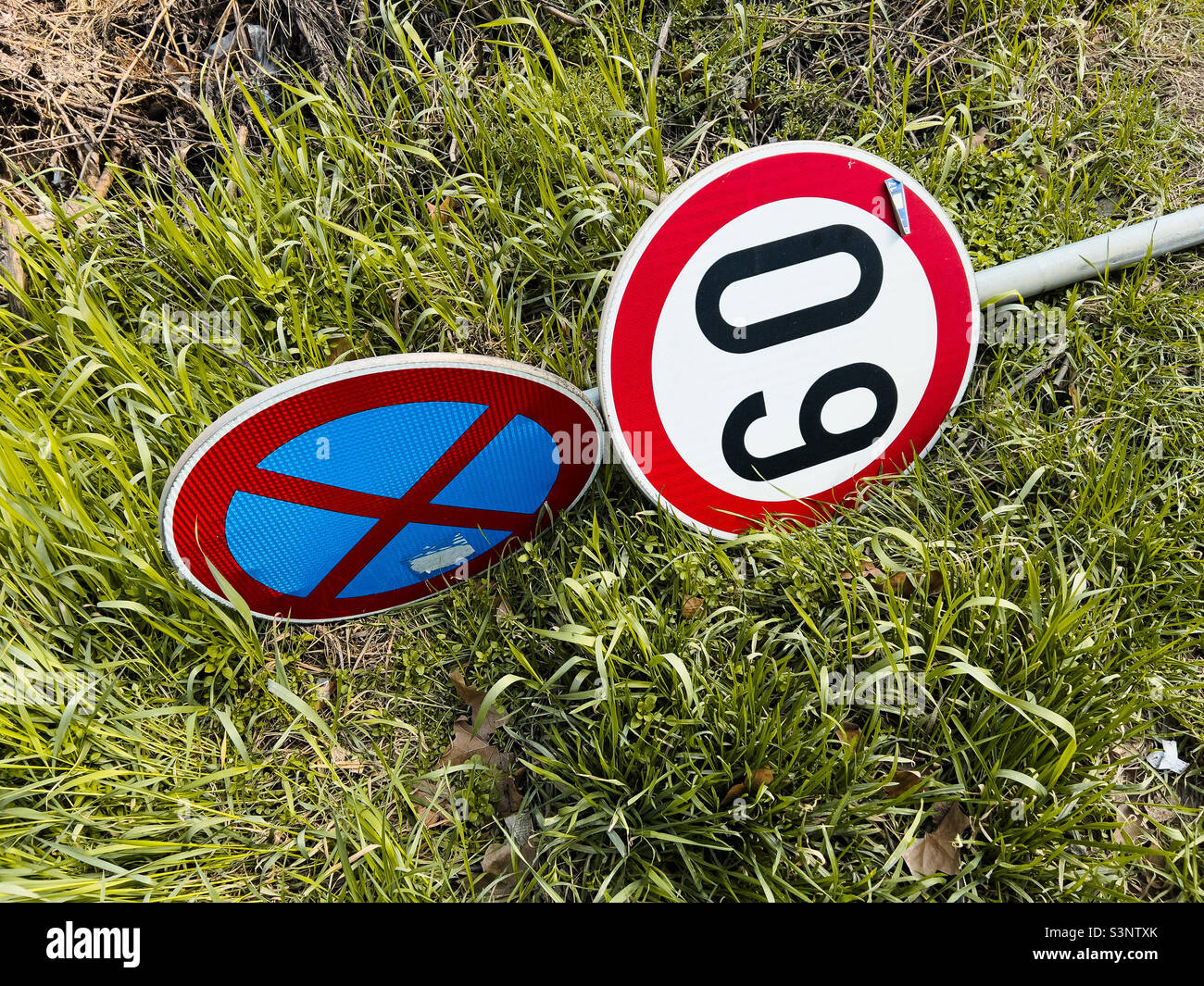 Aucun signe de stationnement et de limite de vitesse dans l'herbe - Image de stock capturée avec un smartphone