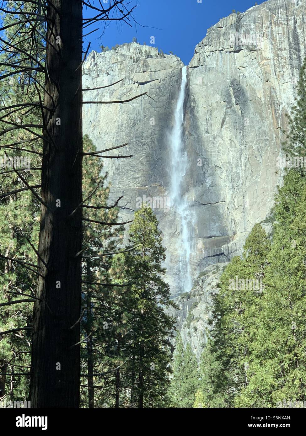 Yosemite Falls dans la région de Yosemite National Park Banque D'Images