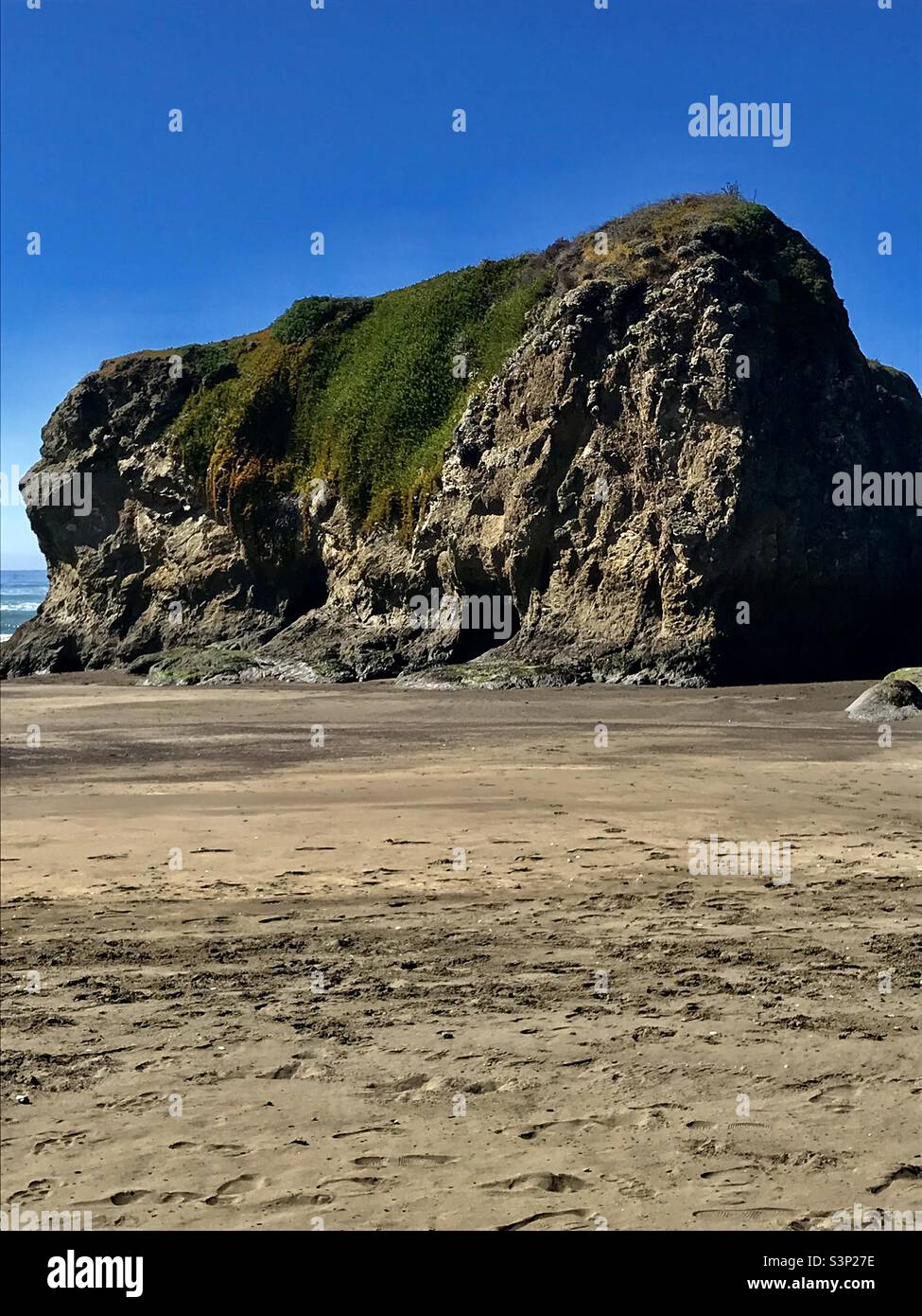 Rocher géant Mossy Beach Banque D'Images