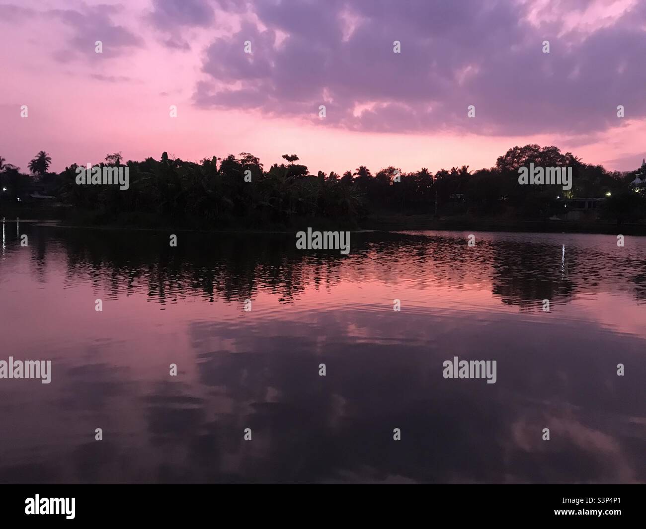 Coucher de soleil rose depuis le beau Sri Lanka Banque D'Images