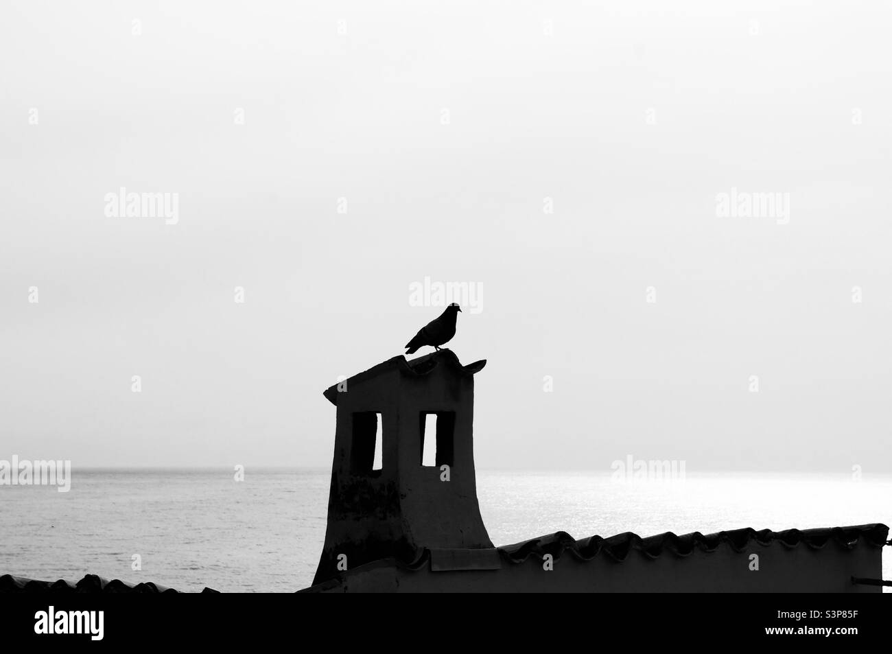 Pigeon sur une vieille cheminée avec la Méditerranée au loin en noir et blanc. Banque D'Images