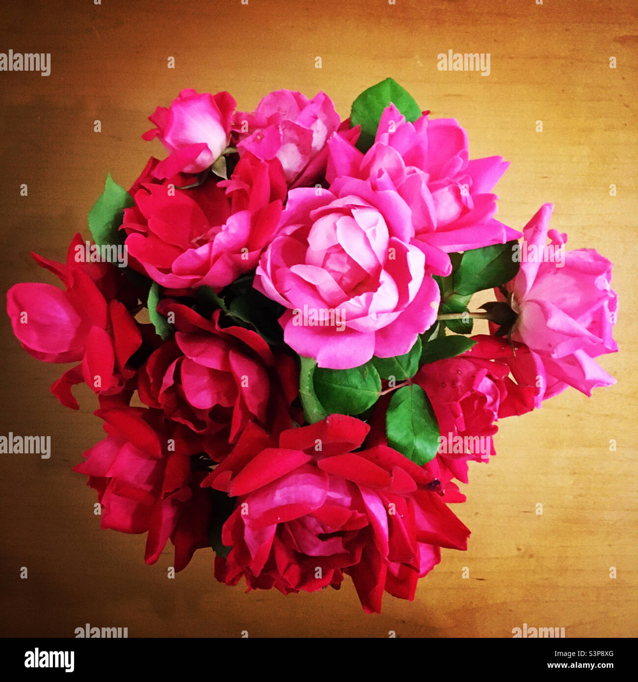 Roses rouges et roses roses roses d'en haut - Image de stock capturée avec un smartphone