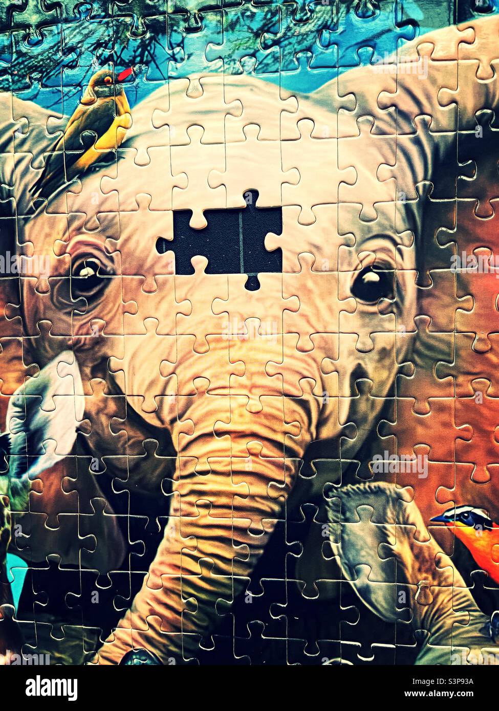 Puzzle avec une pièce manquante sur le front d'une espèce menacée éléphant d'Afrique, 2022 Banque D'Images