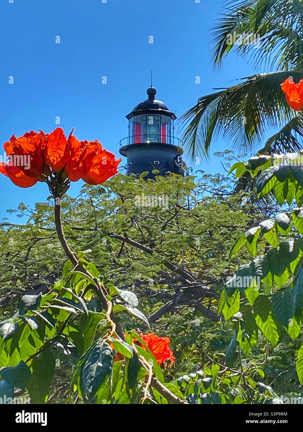 Phare de Key West, vue depuis le jardin de la maison de Hemingway. - Image de stock capturée avec un smartphone