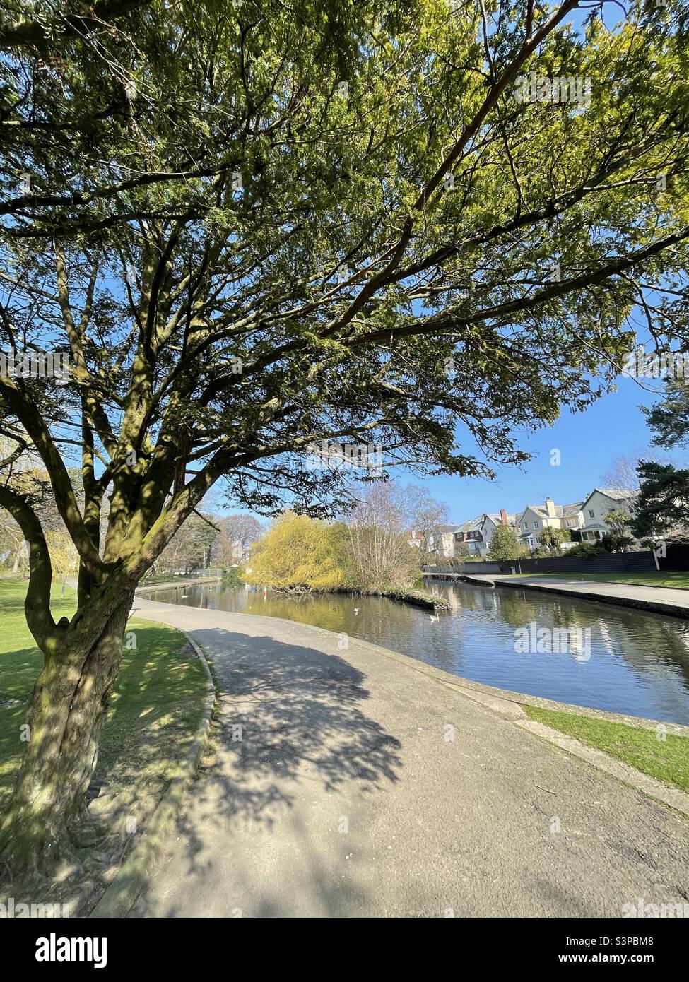Ward Park, Bangor, Irlande du Nord Banque D'Images
