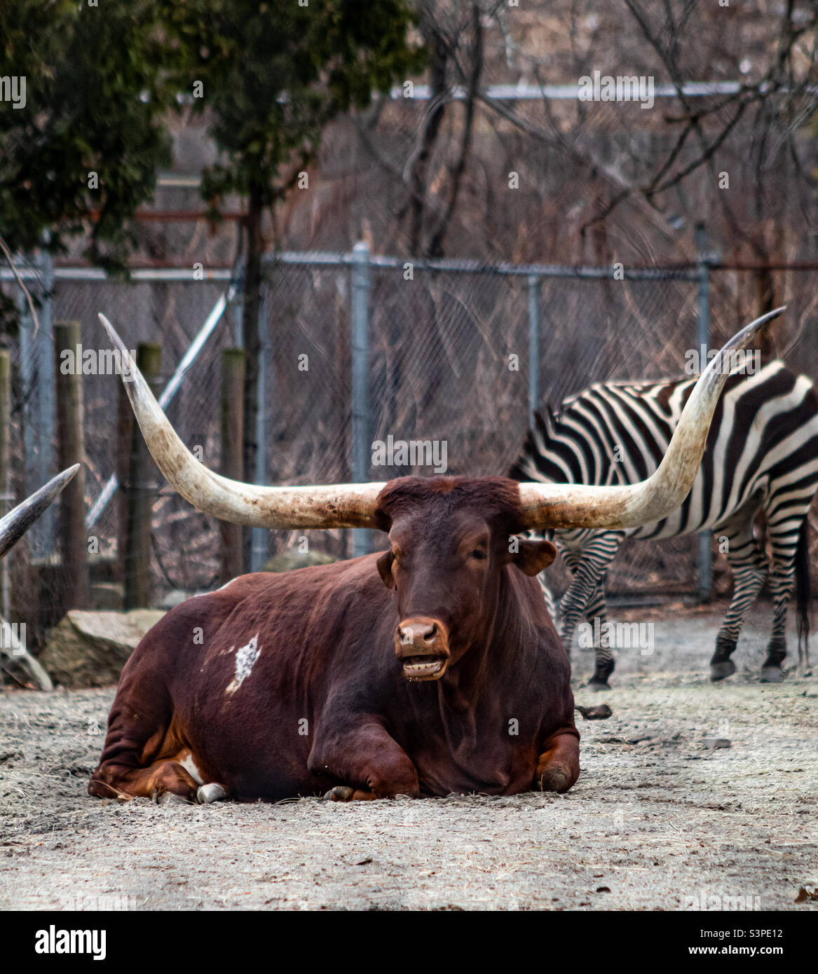 visite du zoo de rhode island Banque D'Images