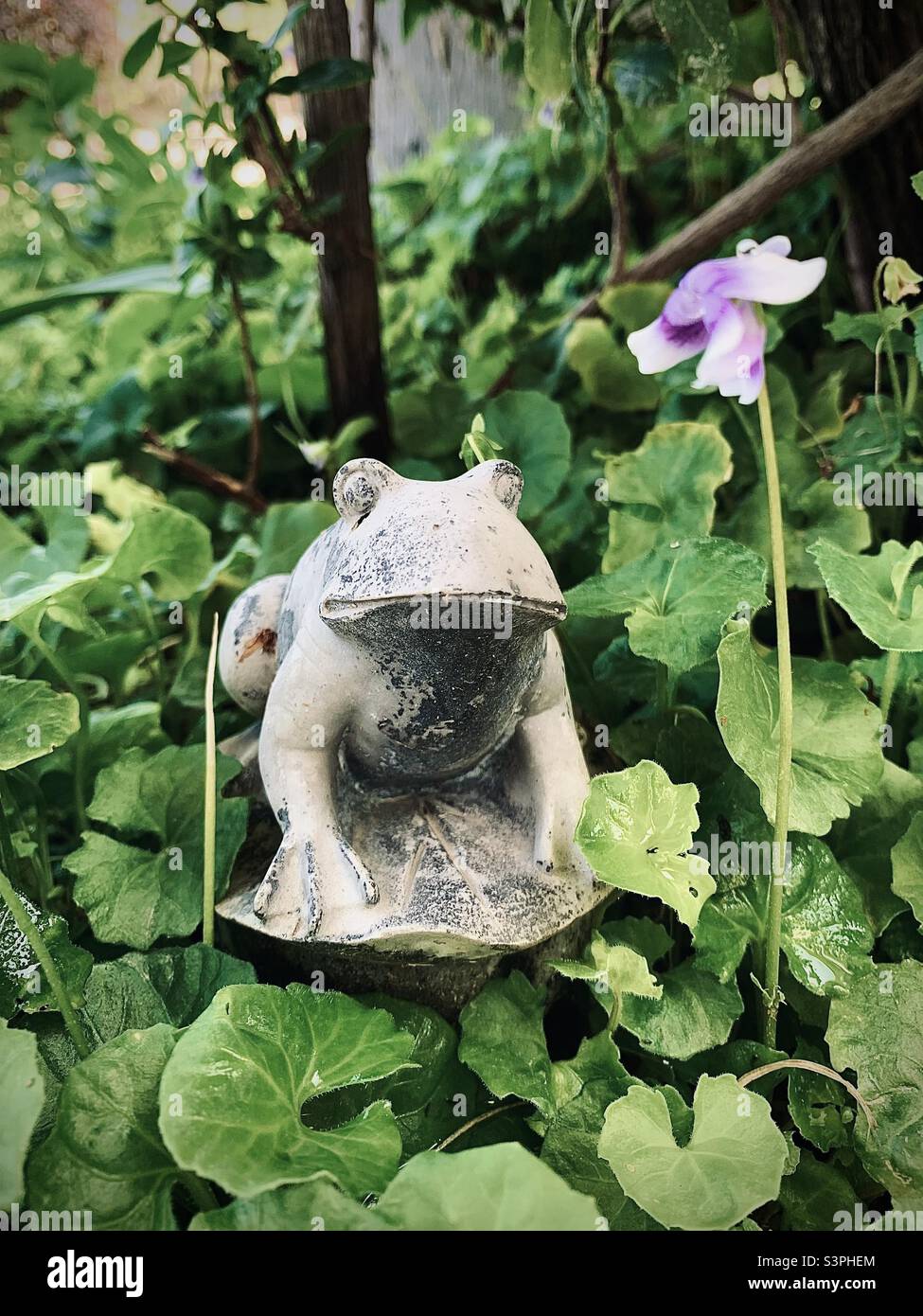 Sculpture d'art de cour de grenouille avec verdure. Banque D'Images