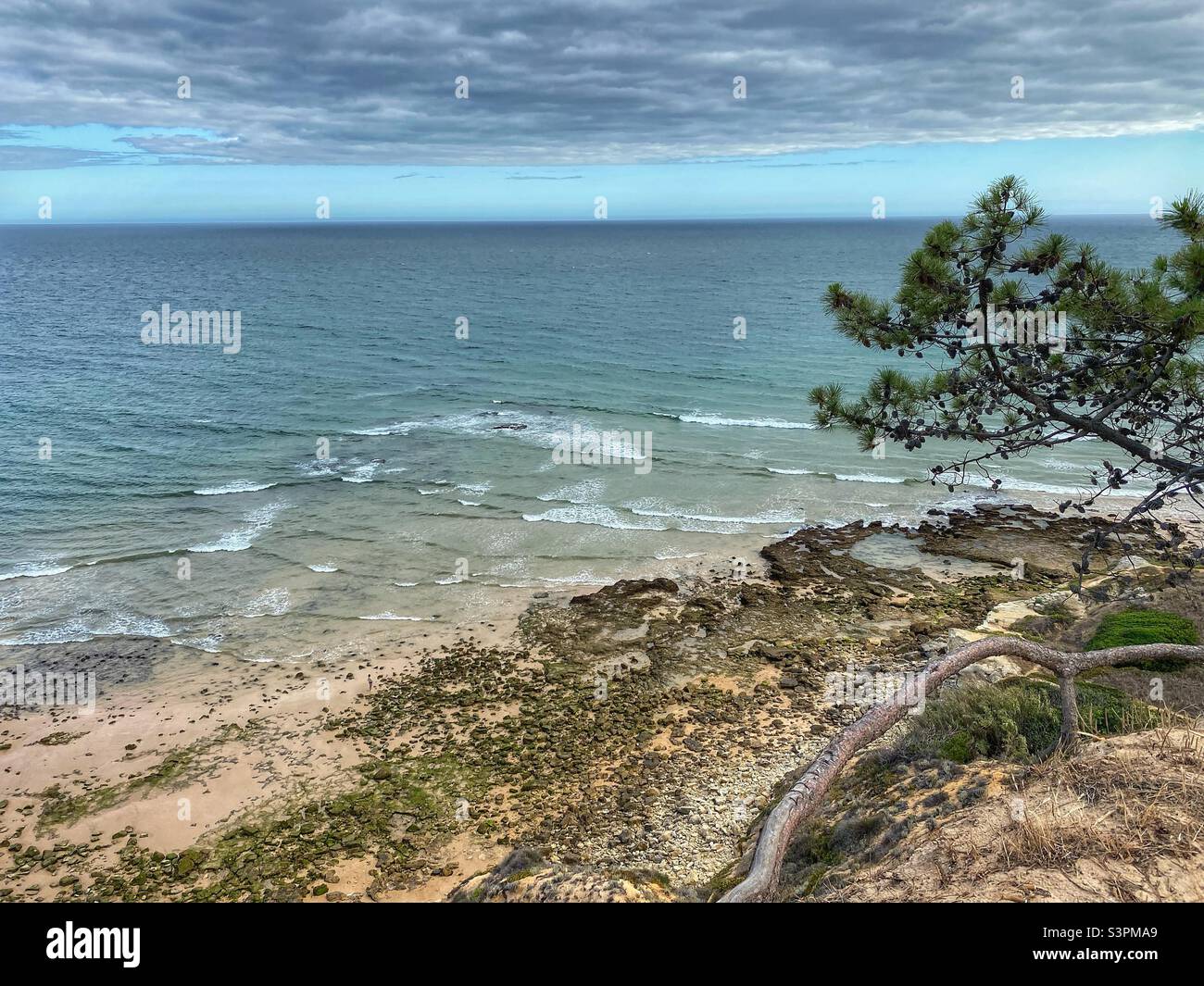 Vagues et vue sur la mer avec algues, rochers et pins en Algarve, Portugal. Banque D'Images
