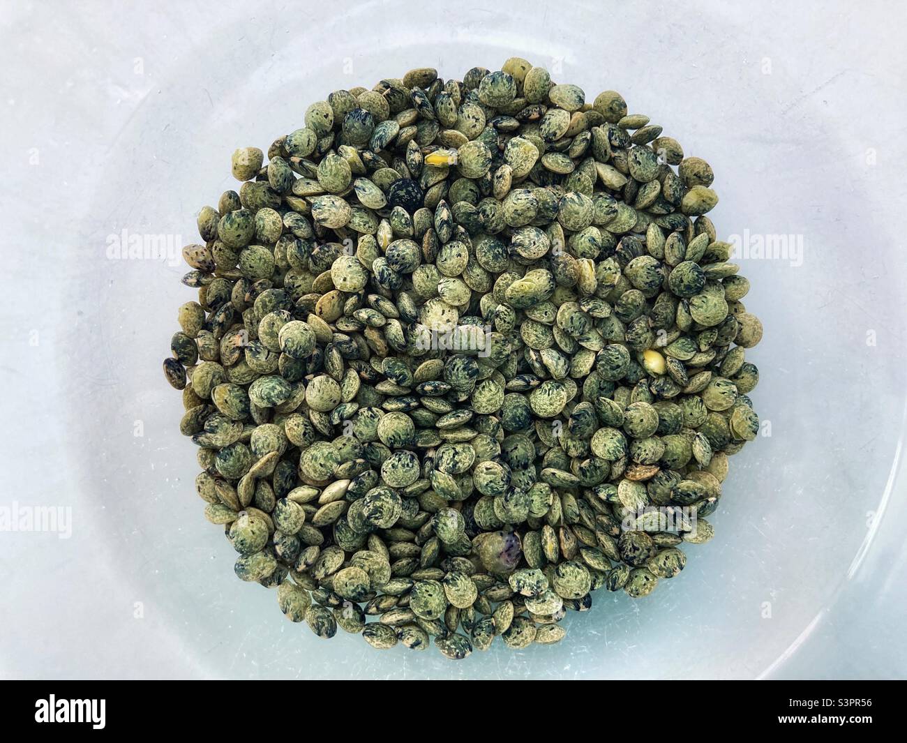 Lentilles du Puy dans un bol transparent. Les lentilles du Puy sont un produit régional protégé et ne peuvent provenir que de la région du Puy en France. - Image de stock capturée avec un smartphone
