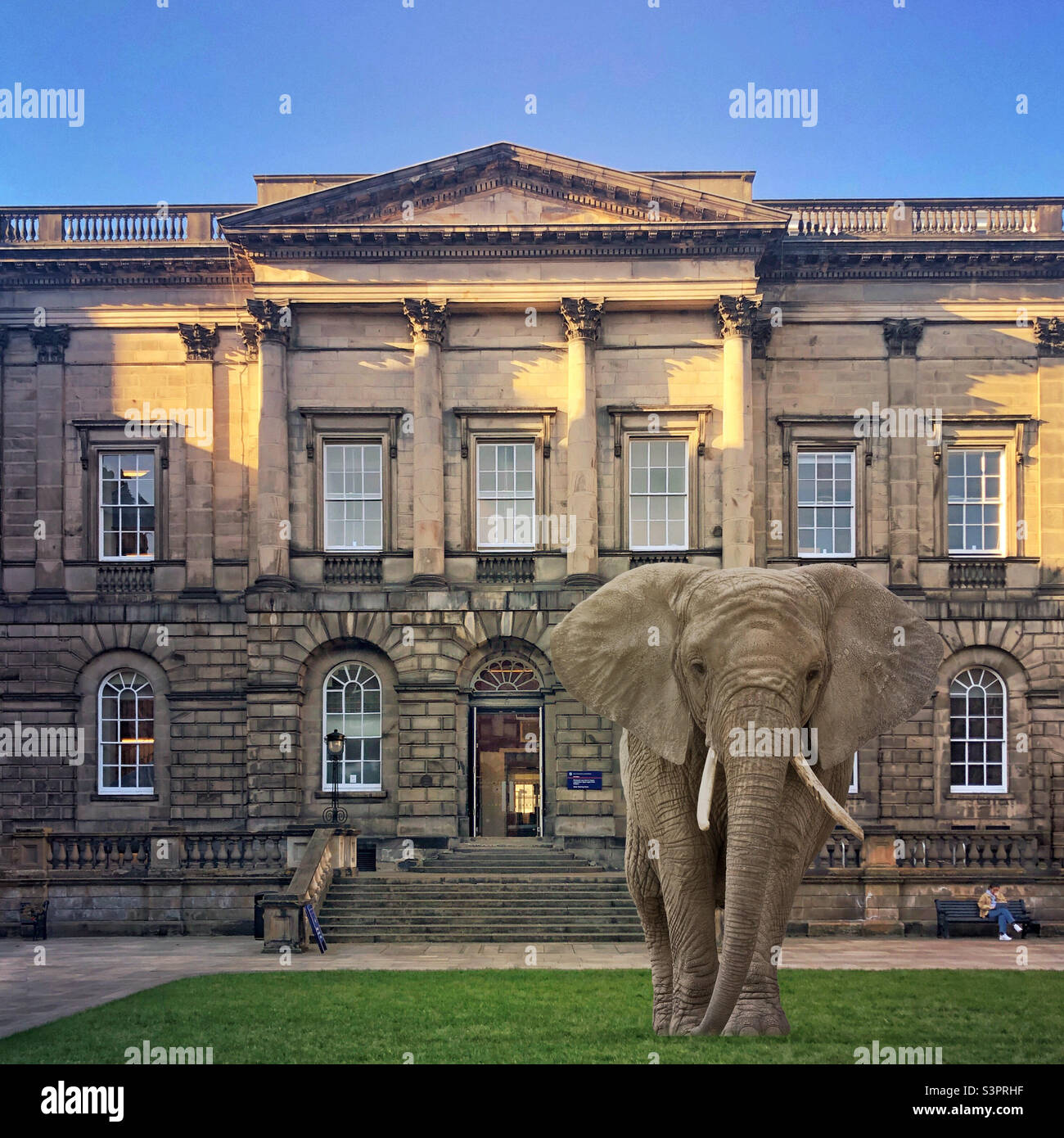 Éléphant dans la cour du Old College, Université d'Édimbourg, Écosse. Composite photo créé avec l'application Urban Jungle photo Editing Banque D'Images