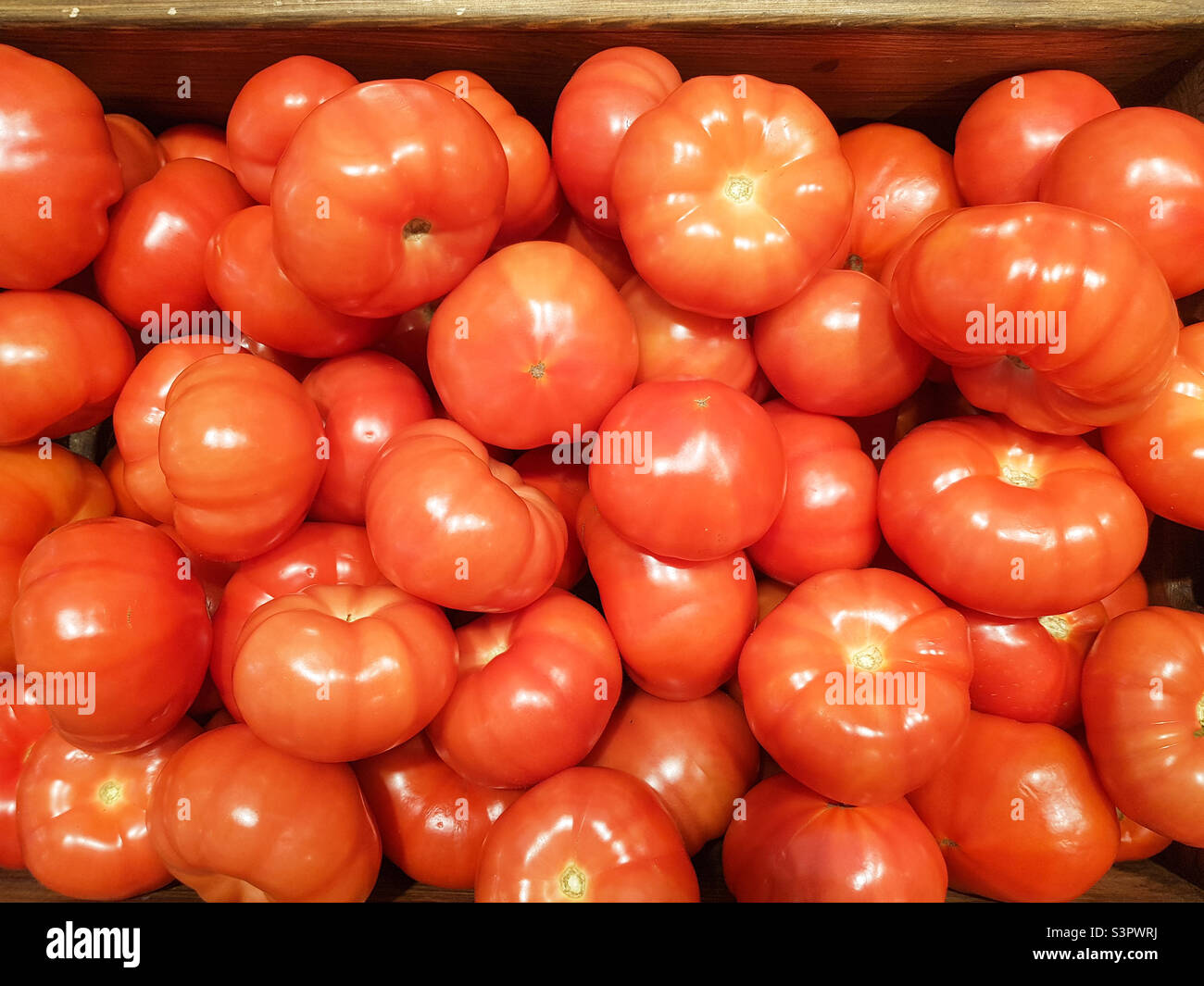 Arrière-plan des tomates rouges en gros plan. Texture des tomates rouges Banque D'Images