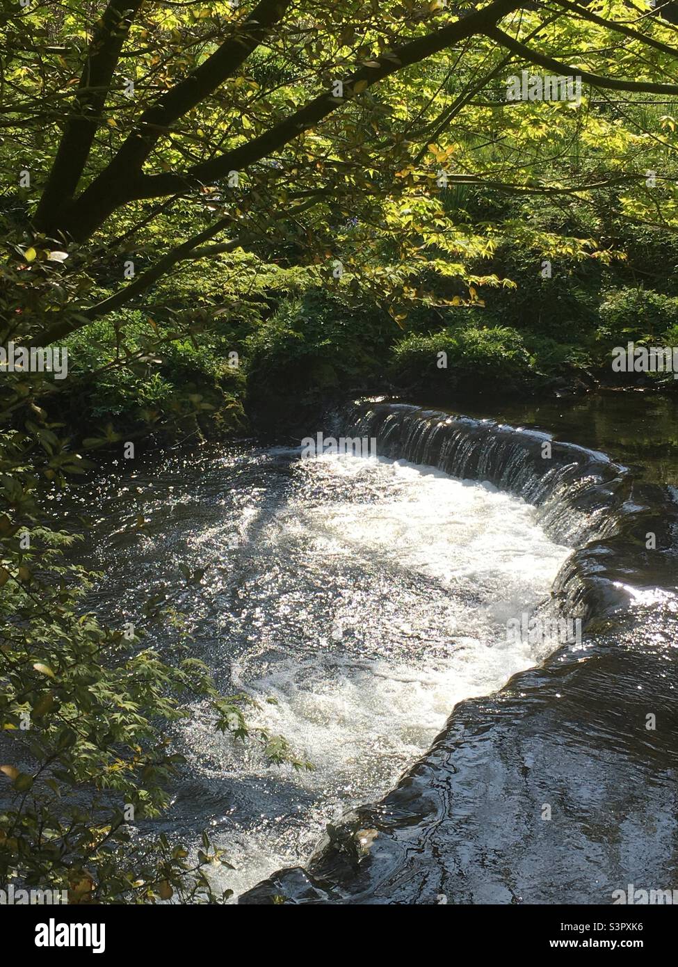Nature, eau, cascade, vert, lumière, nature - Image de stock capturée avec un smartphone