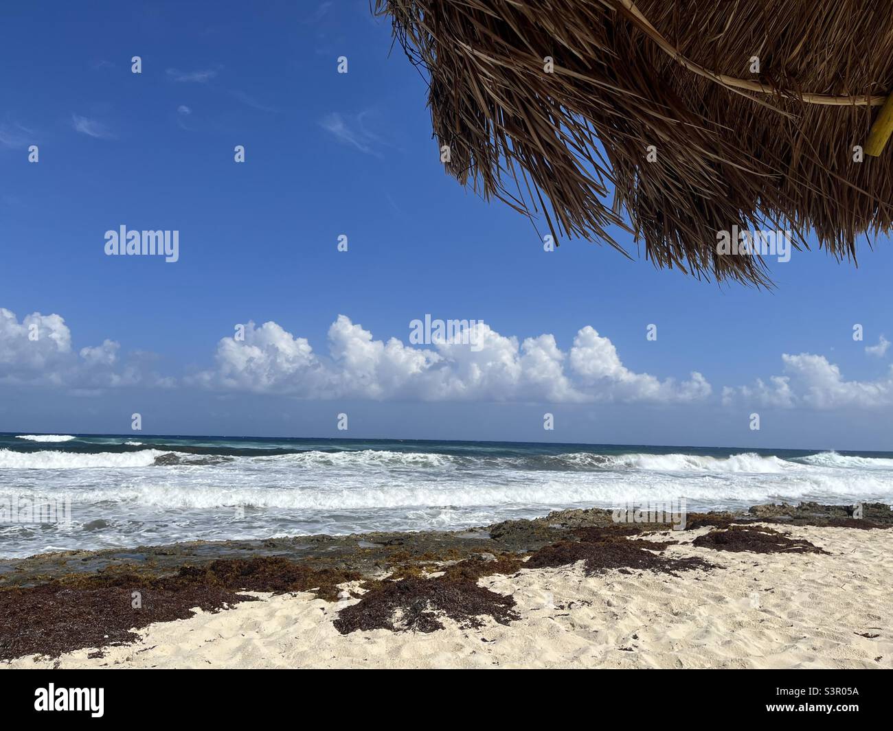 Île Cozumel au Mexique, vue sur la mer des Caraïbes avec du sable et du surf Banque D'Images