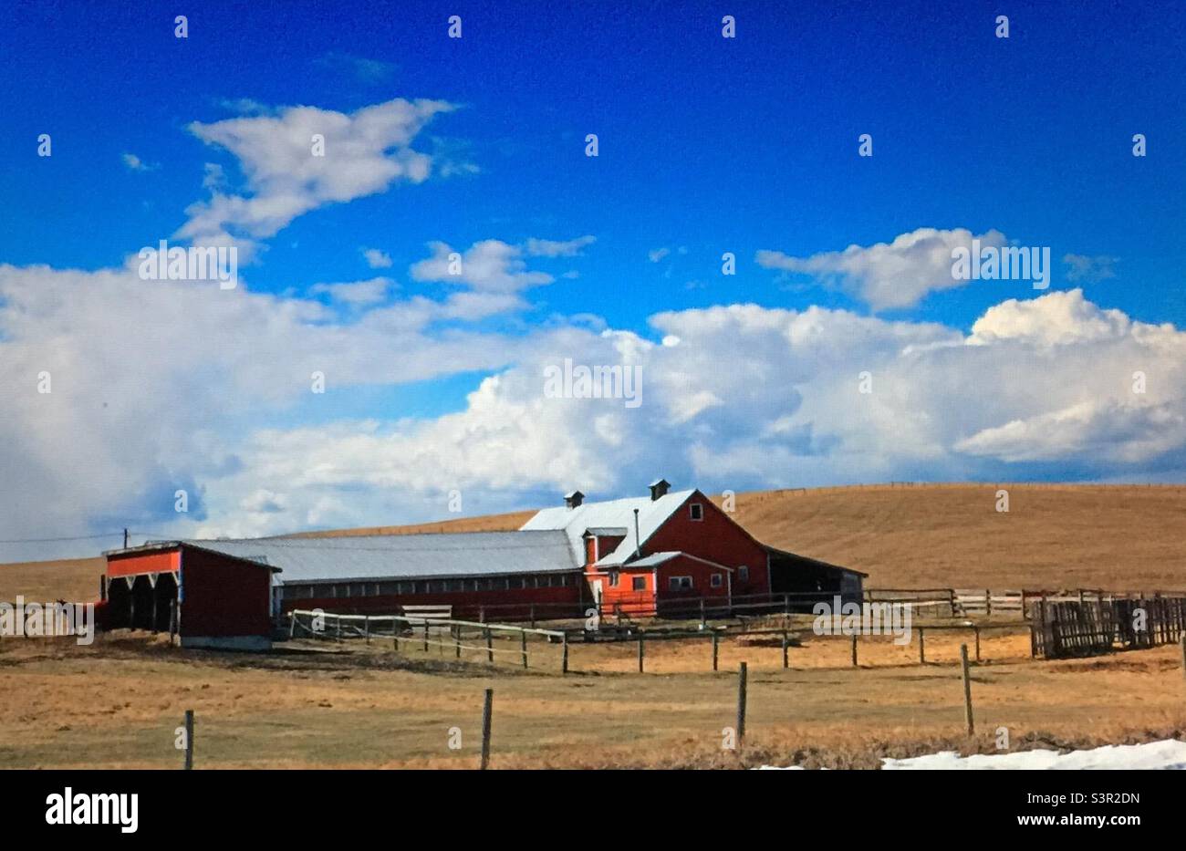 Ferme de l'Alberta, grange rouge, hangar, cheval, champs de grange de poulet, agriculture, clôture de poteau Banque D'Images