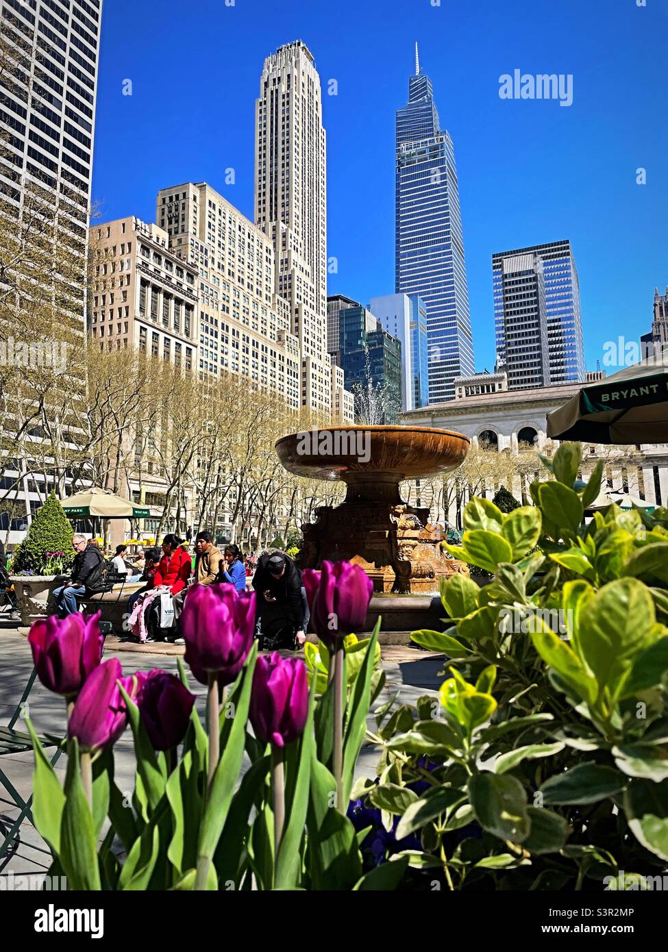 Des gratte-ciels surprennent Bryant Park. Fountain and tulipes, Spring Time, 2022, New York City, États-Unis Banque D'Images