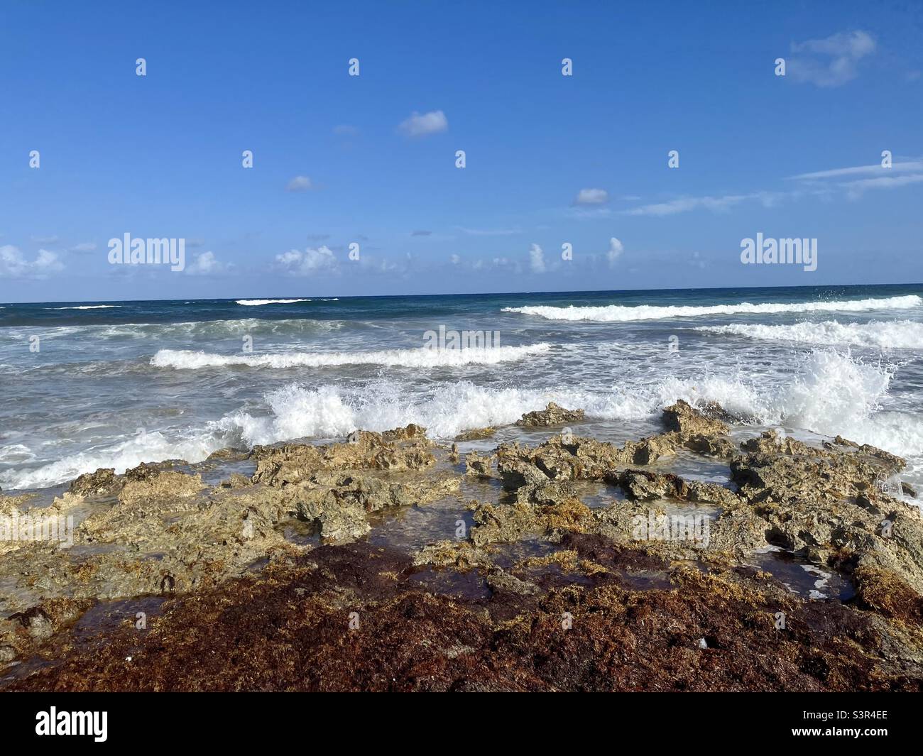 Vague de éclaboussures contre le rocher sur l'île de Cozumel, au soleil de la mer des Caraïbes, au Mexique - Image de stock capturée avec un smartphone