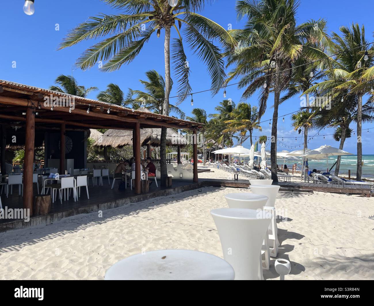 Bar de la plage dans les Caraïbes, palmiers et mer Banque D'Images