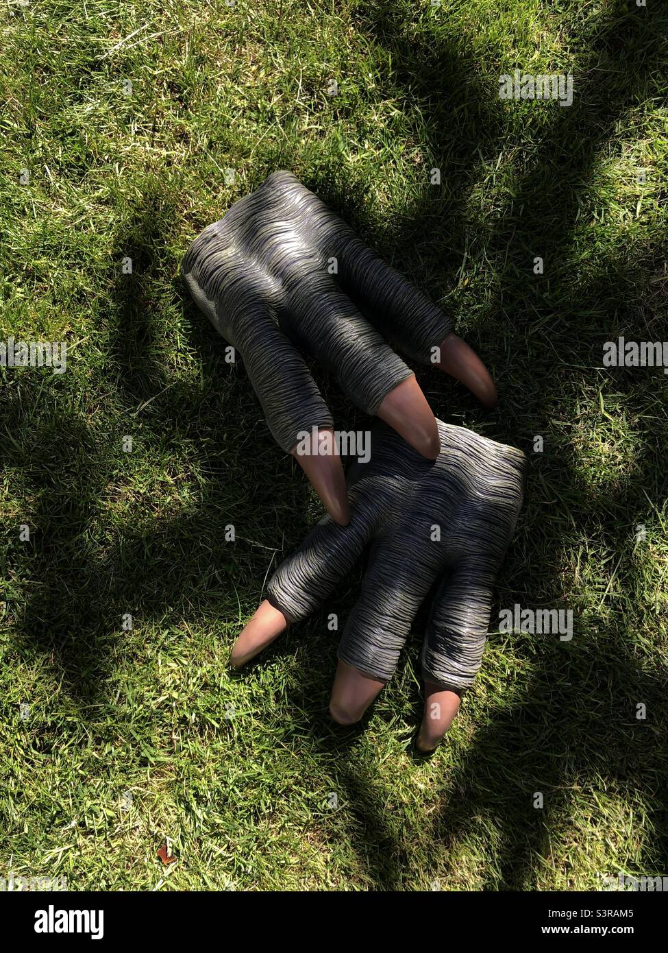 Gants en forme de pieds de poulet Banque D'Images