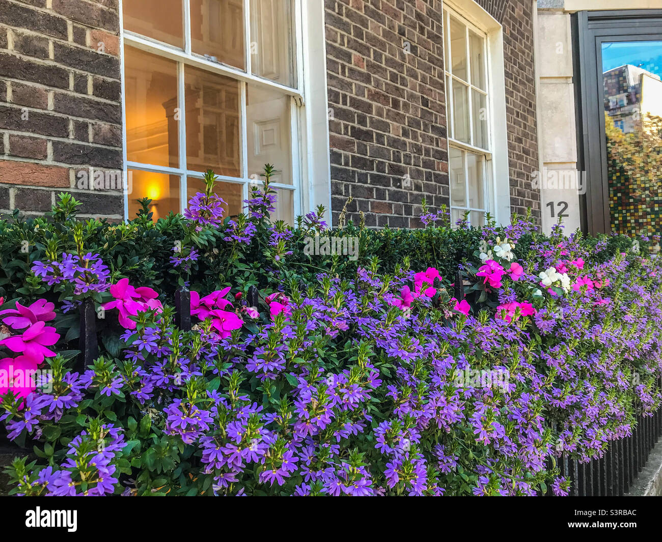 Fleurs en fleur, Londres Banque D'Images