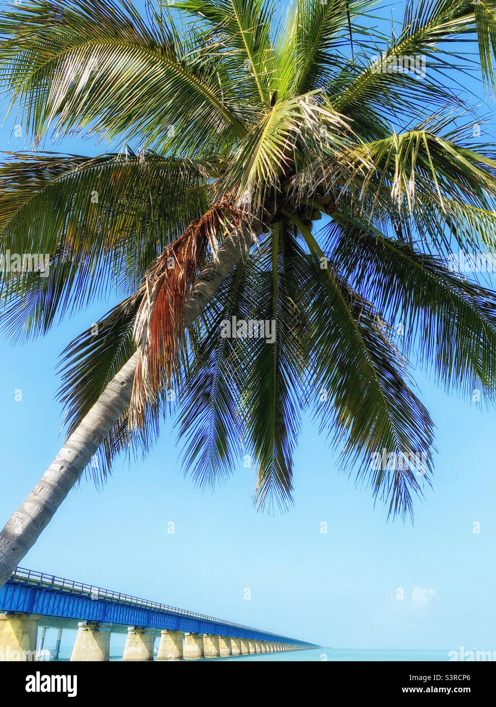 Seven Mile Bridge, Floride - Image de stock capturée avec un smartphone