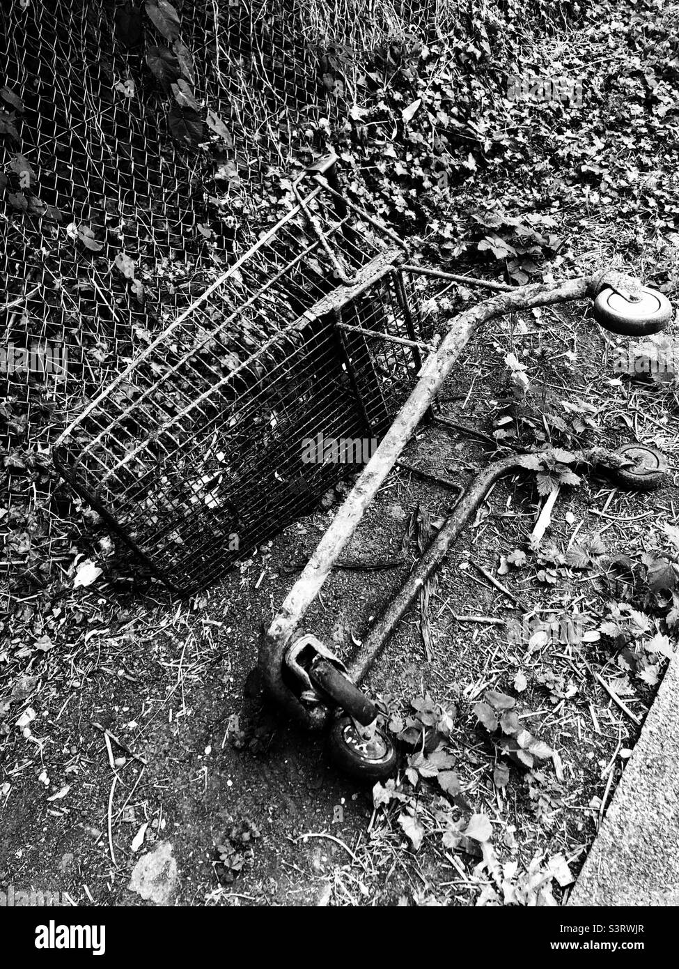 Chariot à provisions décalé Banque D'Images