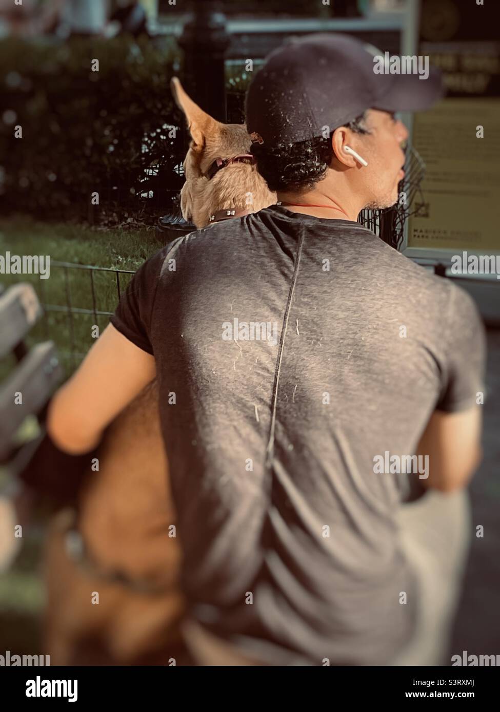 Le meilleur ami de l'homme Banque D'Images