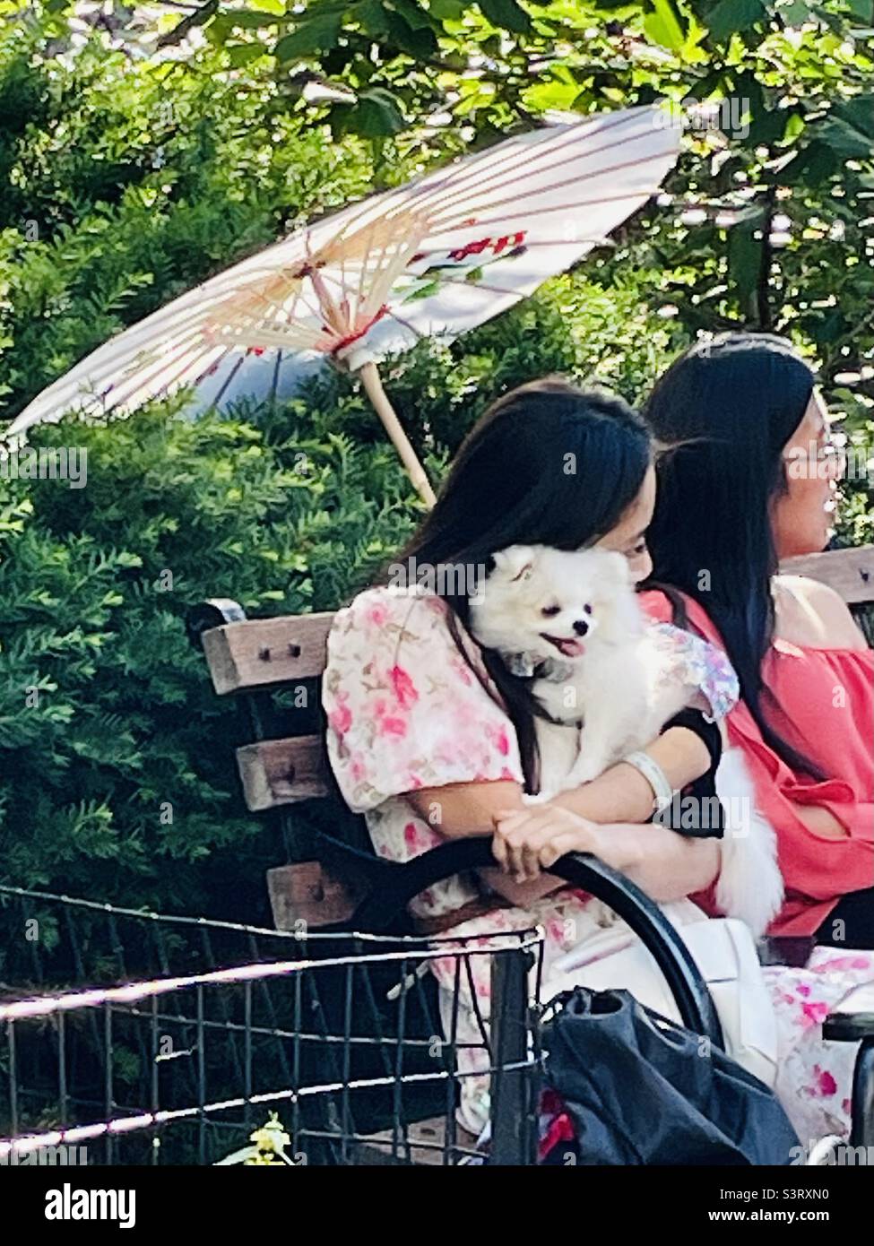 Femme tenant un petit chien blanc sous un parapluie japonais - Image de stock capturée avec un smartphone