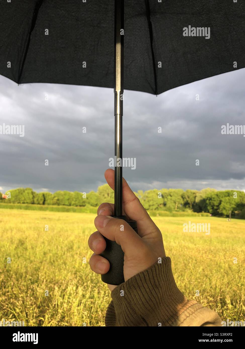 Gros plan d'une main d'une personne tenant un parapluie noir dans un parc Banque D'Images