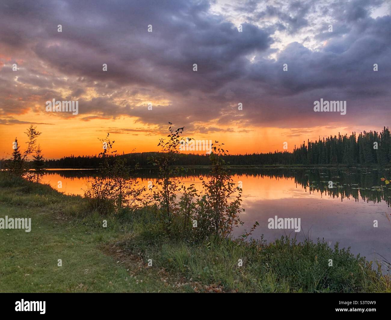 Ciel nocturne en Alaska Banque D'Images