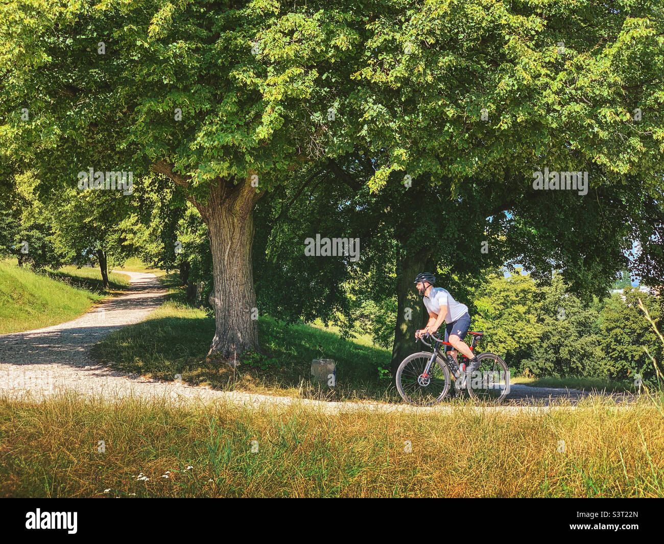 Montée en vélo sur le chemin de gravier sinueux à travers le parc, Cracovie / Cracovie, Pologne Banque D'Images