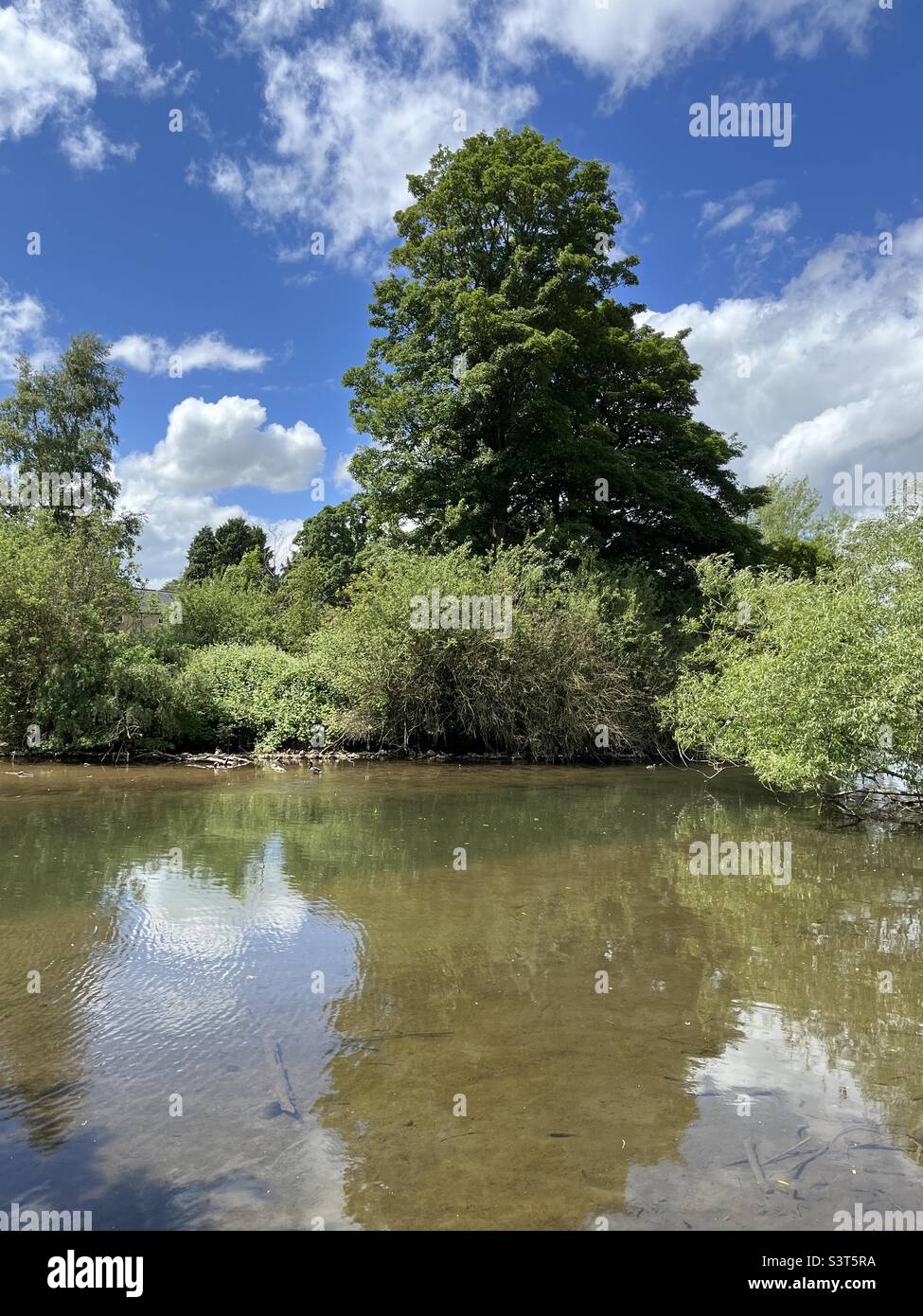 River Wye à Bakewell, Derbyshire Banque D'Images