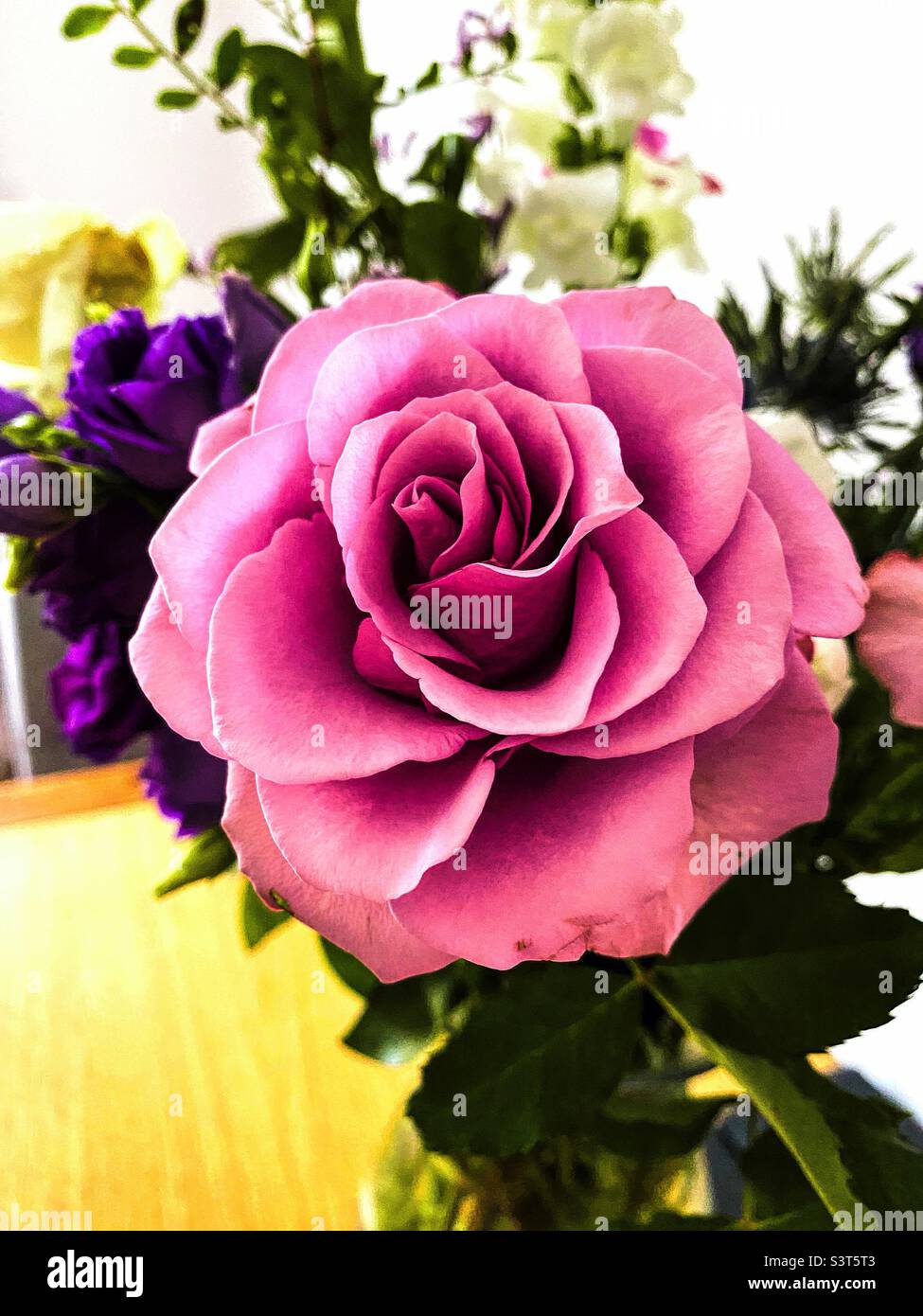 Les roses sont rouges, les violettes sont bleues Photo Stock - Alamy