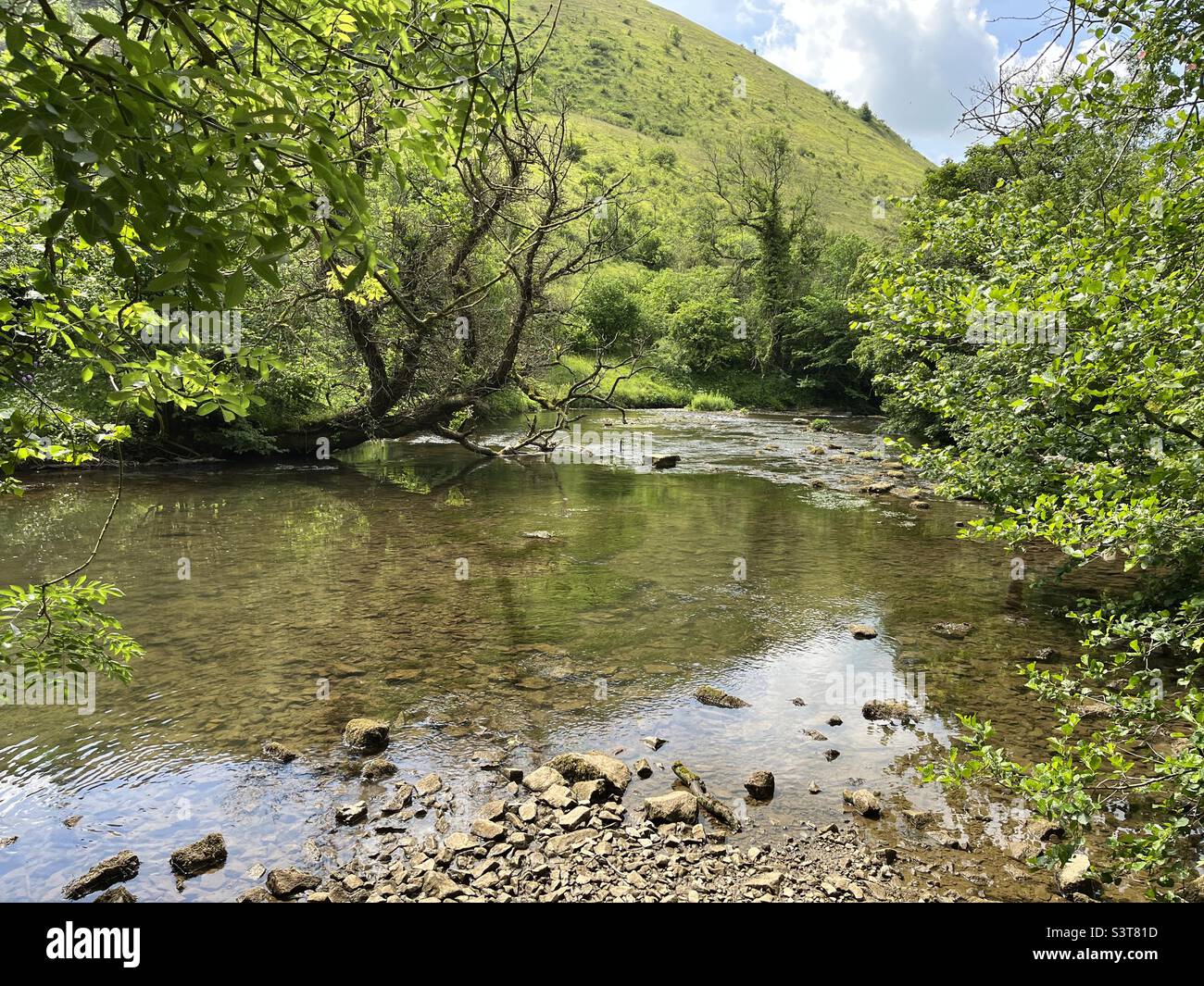Rivière Wye traversant Monsal Dale dans le Peak District Banque D'Images