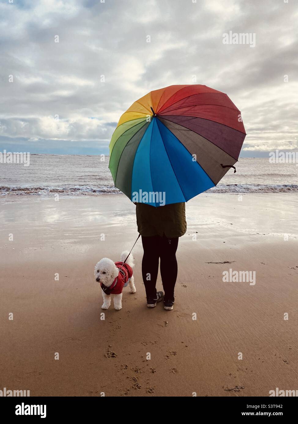 Femme marchant un chien sur la plage sous un parapluie multicolore Banque D'Images